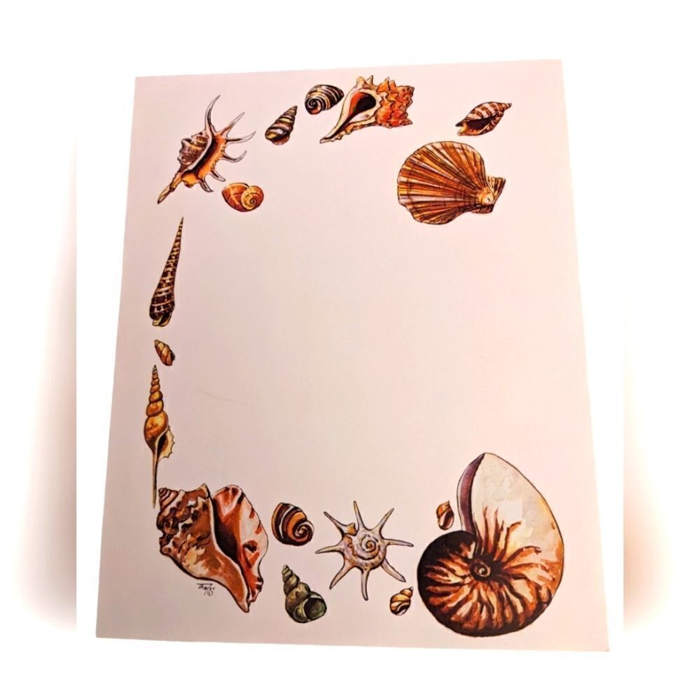 Thayer vintage lithograph art print seashells